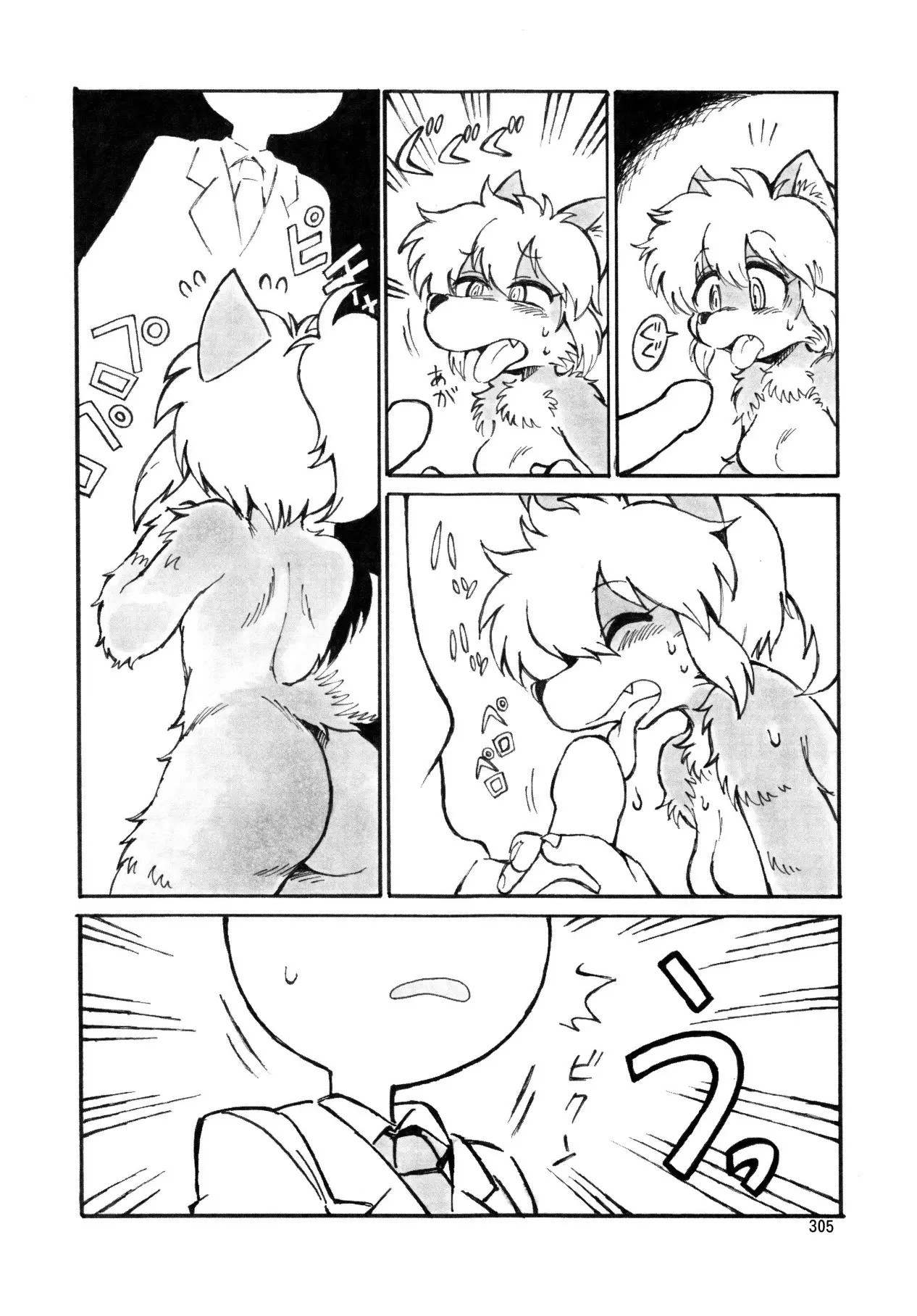 304_4SDzWcJ