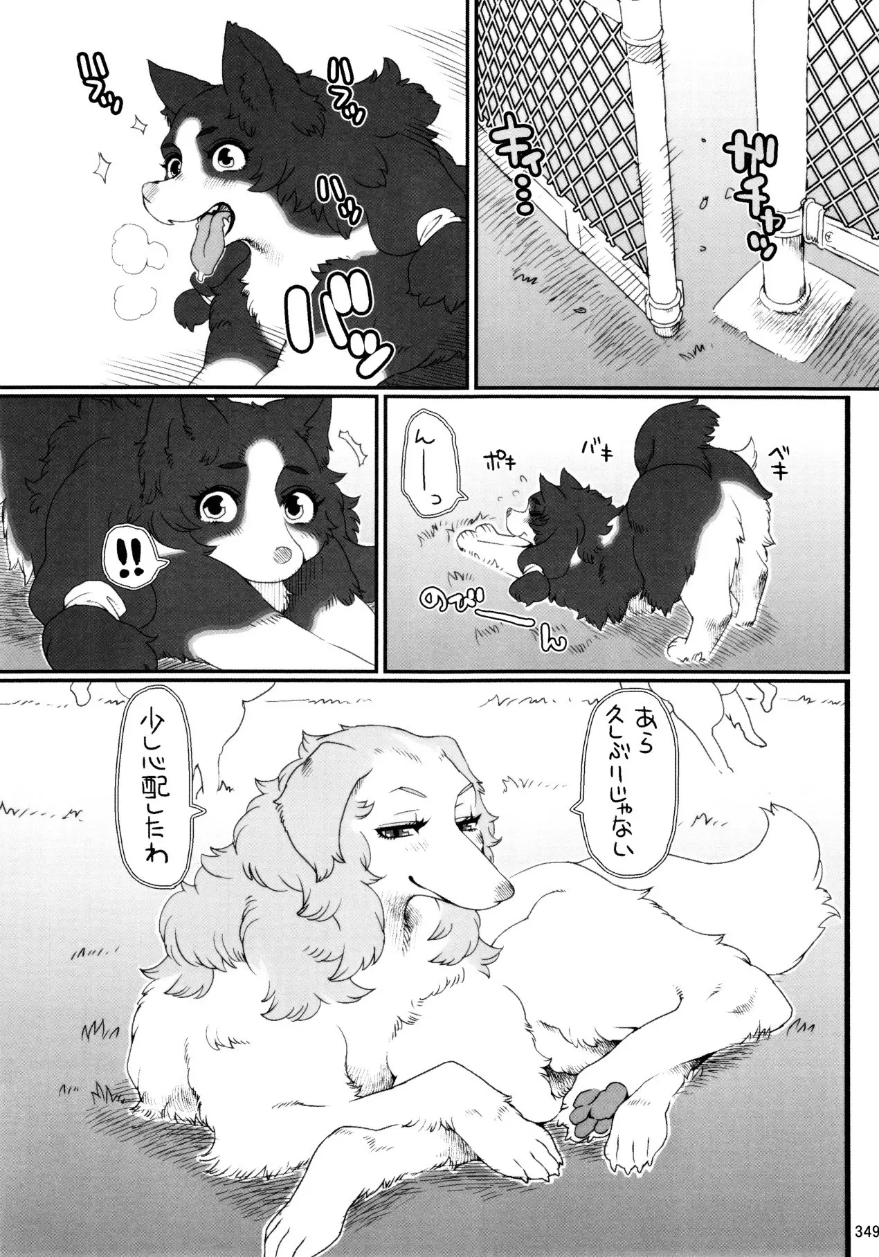 348_vLwQIM4