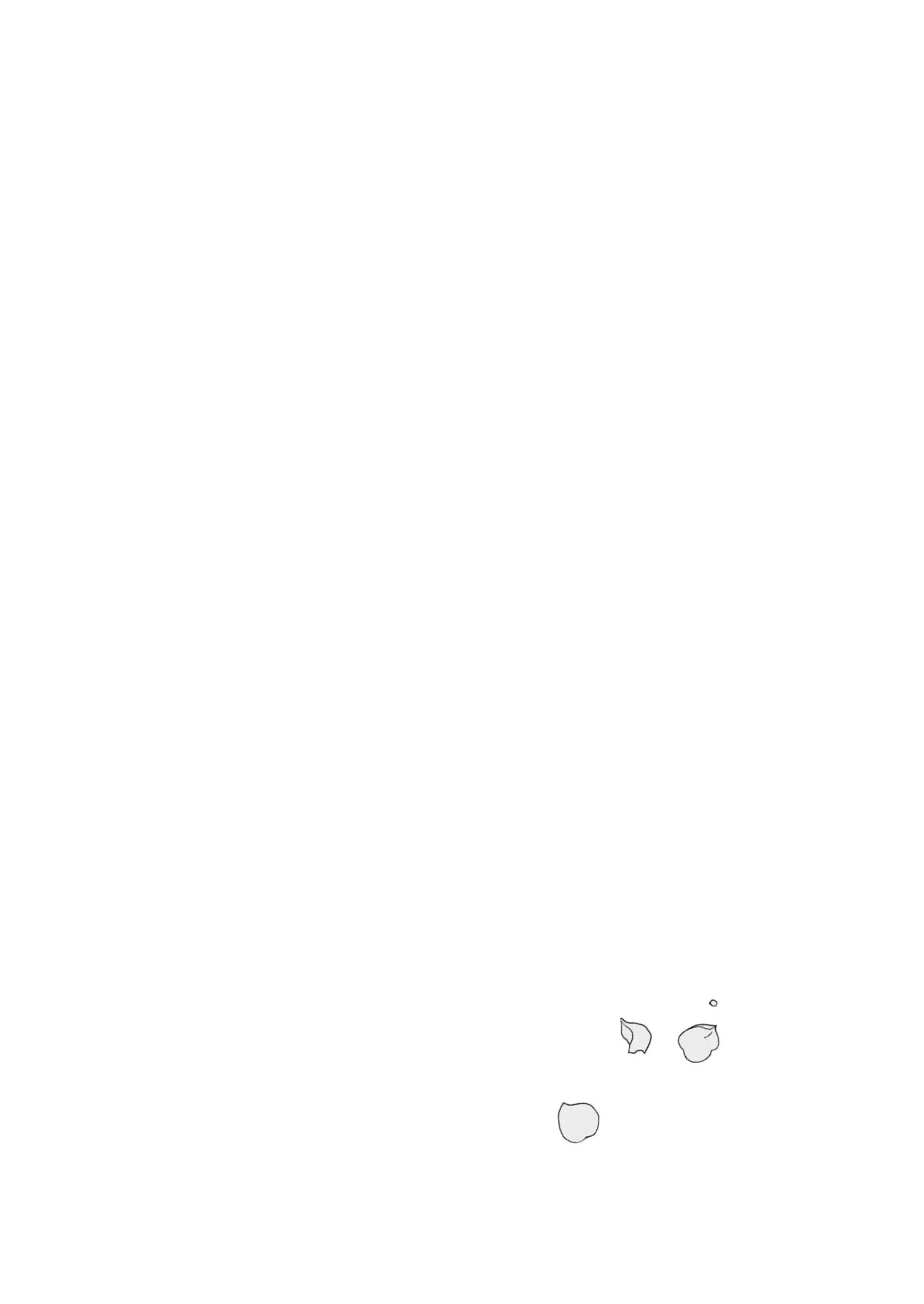 04__4
