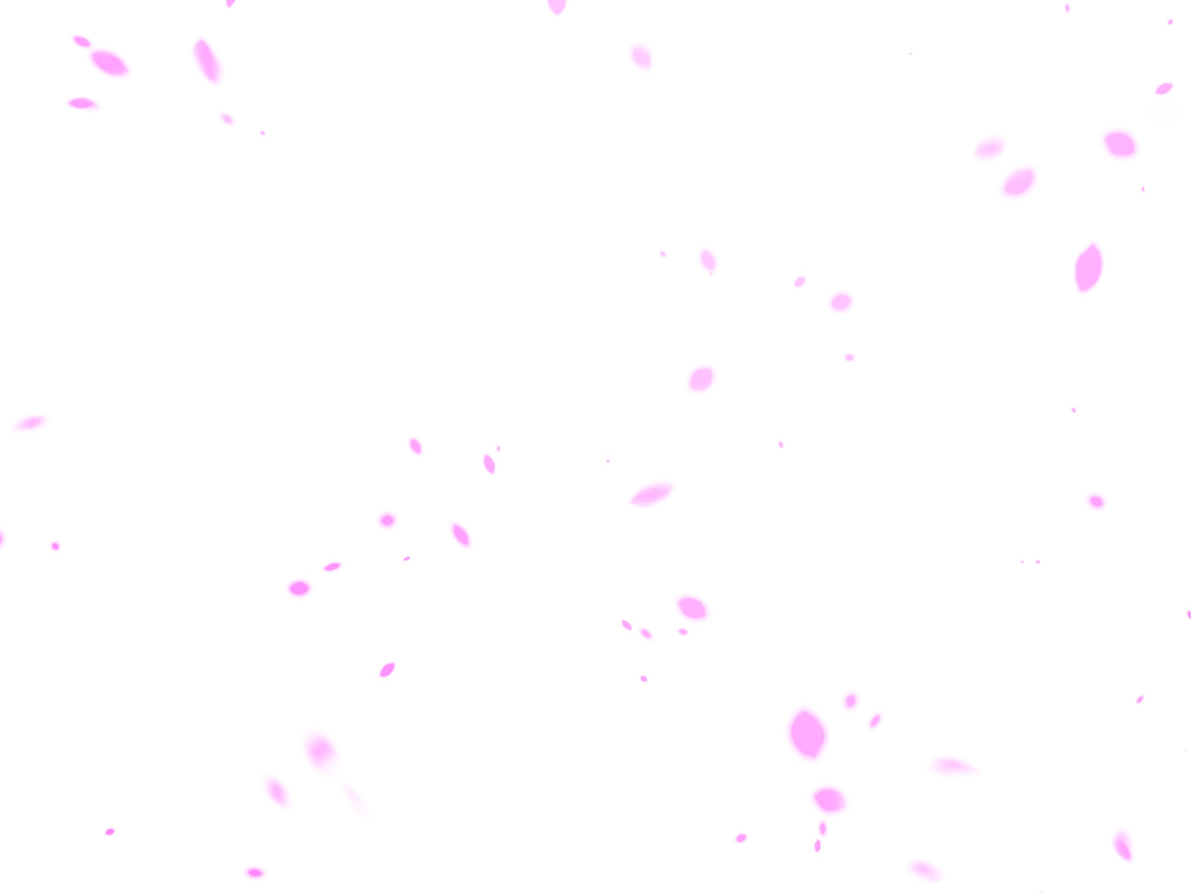Without_Text_1100