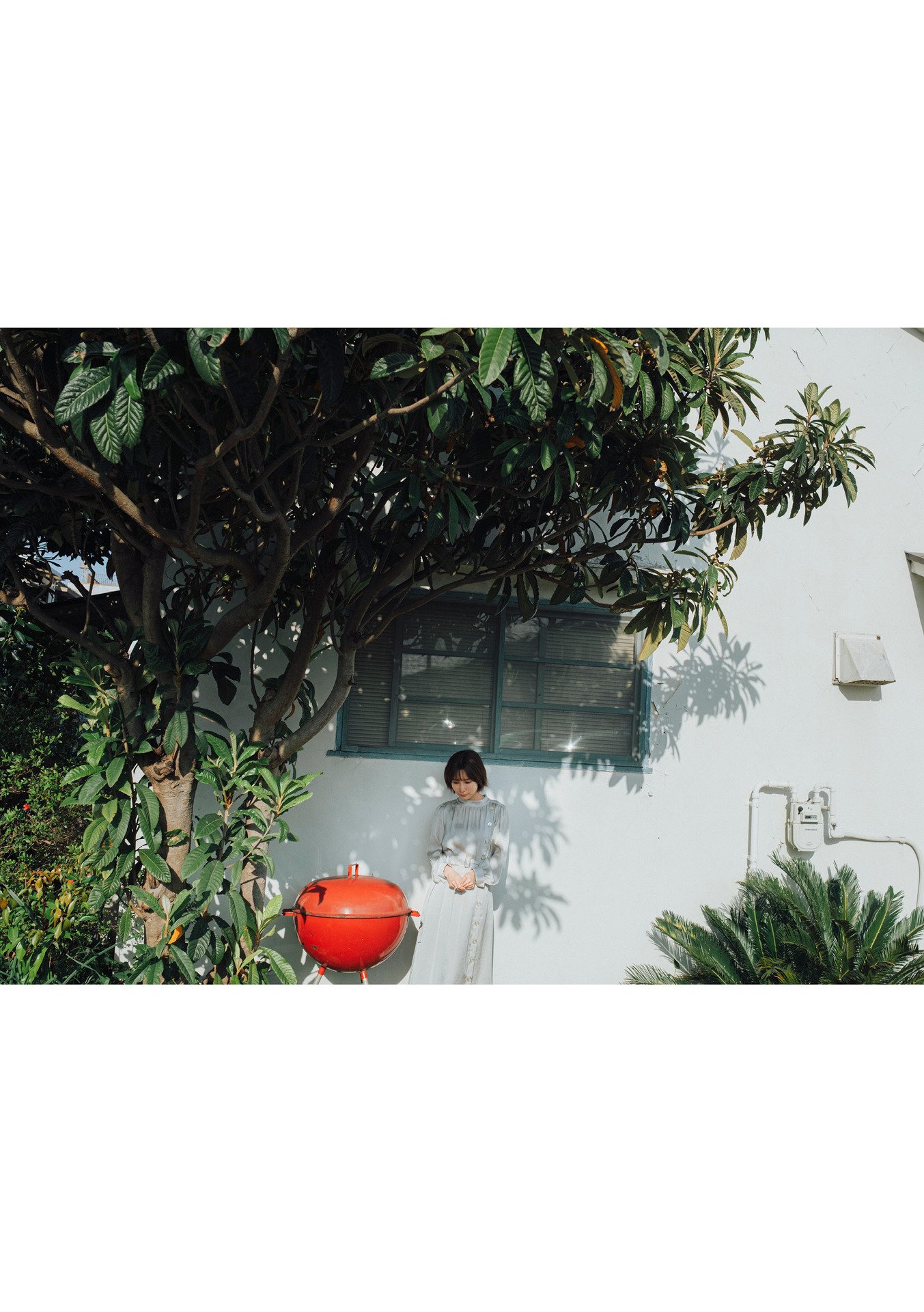 embed0093_HD