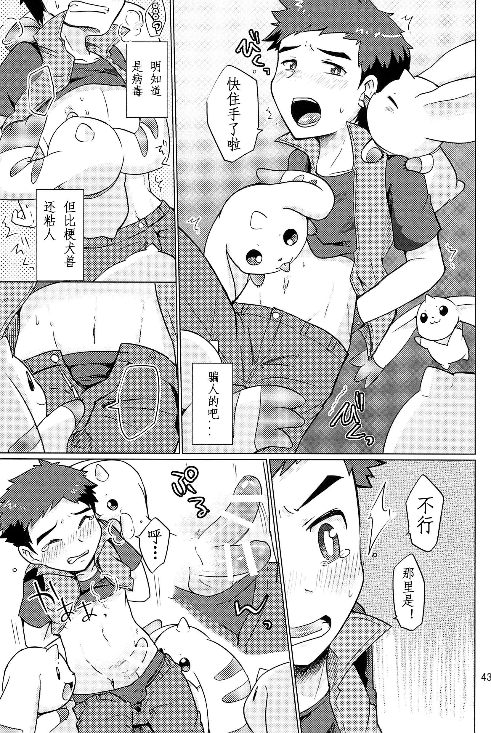 43